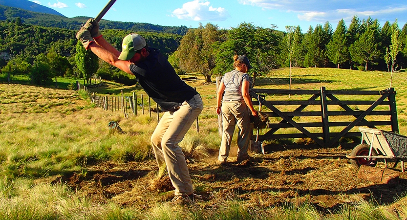 A person swings a garden tool while working during a service project with outward bound. 